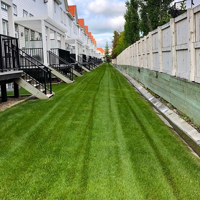 Straight and narrow ⬆️
.
.
.
#landscaping #calgary #cochrane #yyc #yyclandscaping #calgarylandscaping #lawncare #familybusiness #shopyyc
#smallbusinessyyc #lux #yycliving #yyclandscaping #maintenance #lawnmowing #trimming #sod #mulch #construction #f