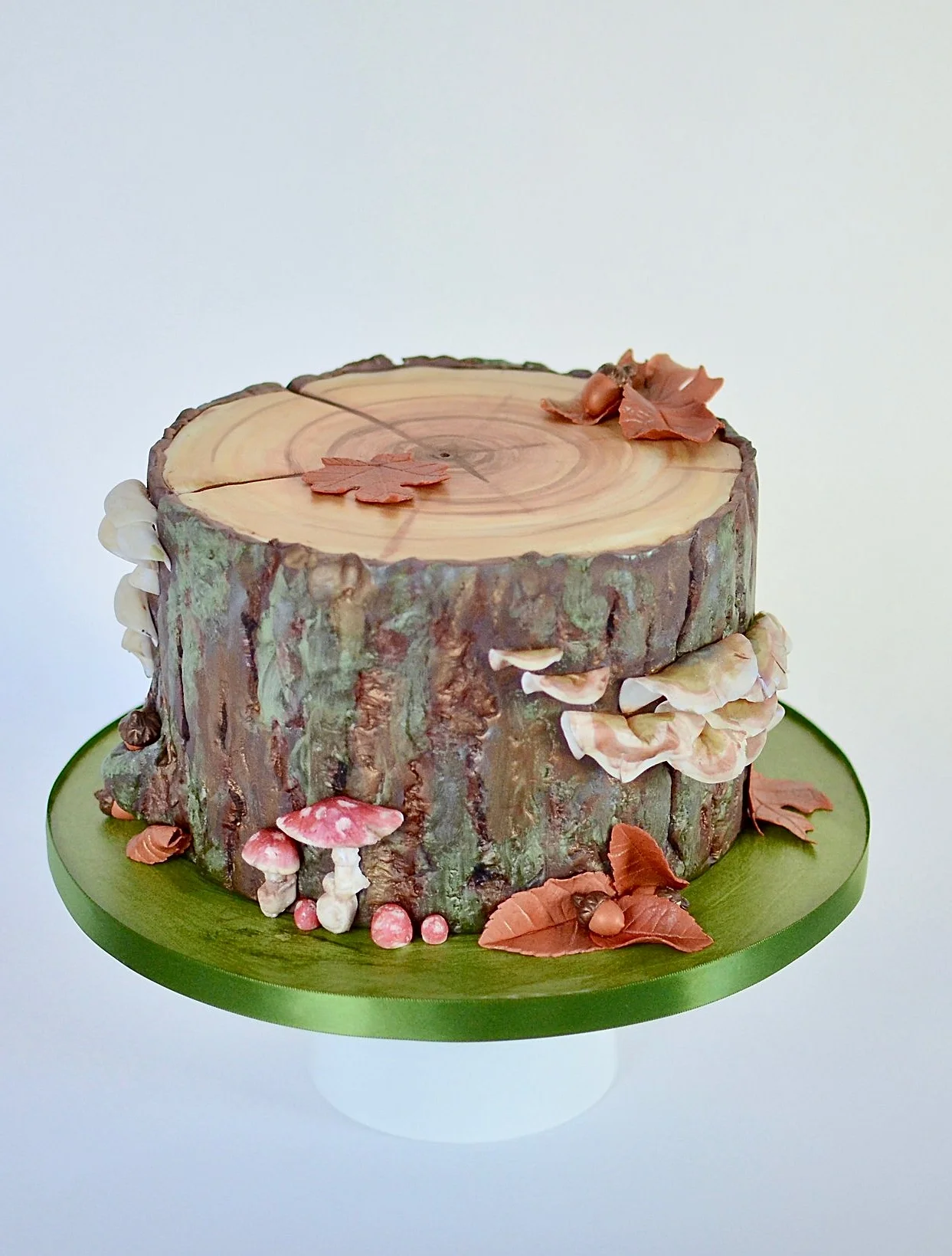 Tree cake with edible mushrooms and lichens. Image copyright Christine Gordon.