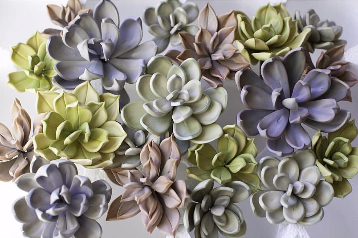 Sugar+Succulents.jpg