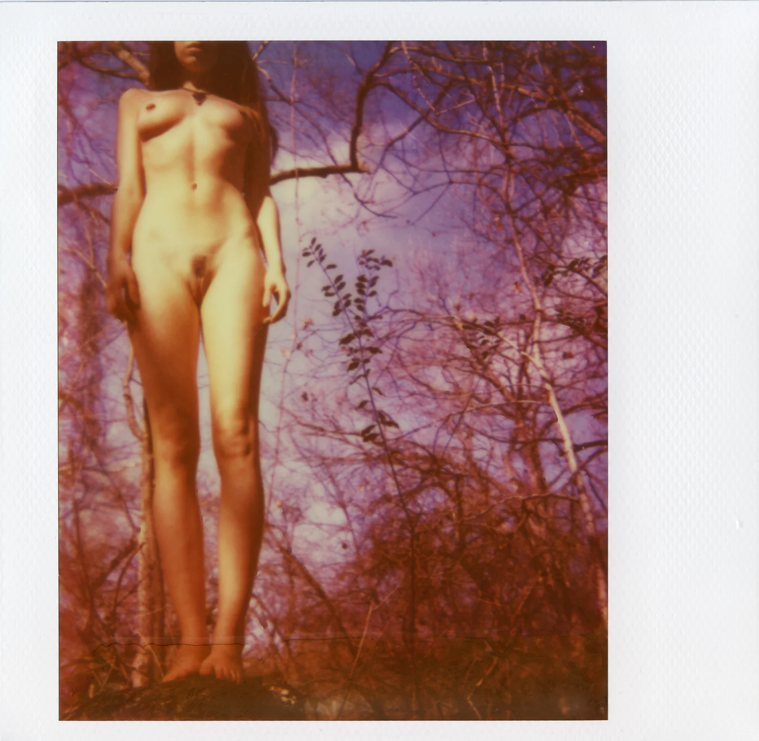 Woodlands 2 - $40 | CYBER: $34