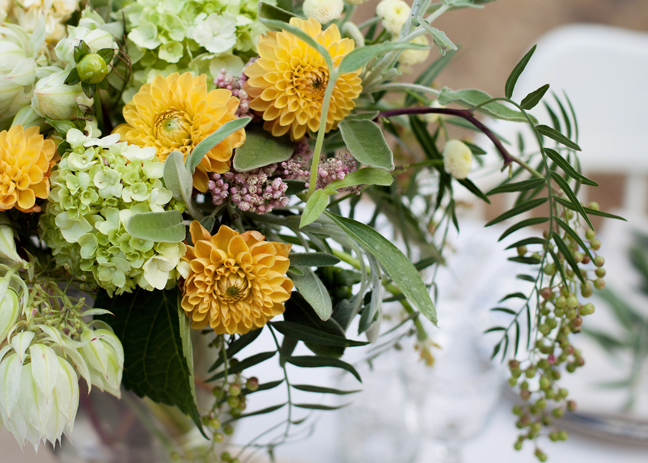 Peach dahlias, pink rice flower, immature hydrangeas, gomphrena, and blushing bride protea snuggle up and embrace.