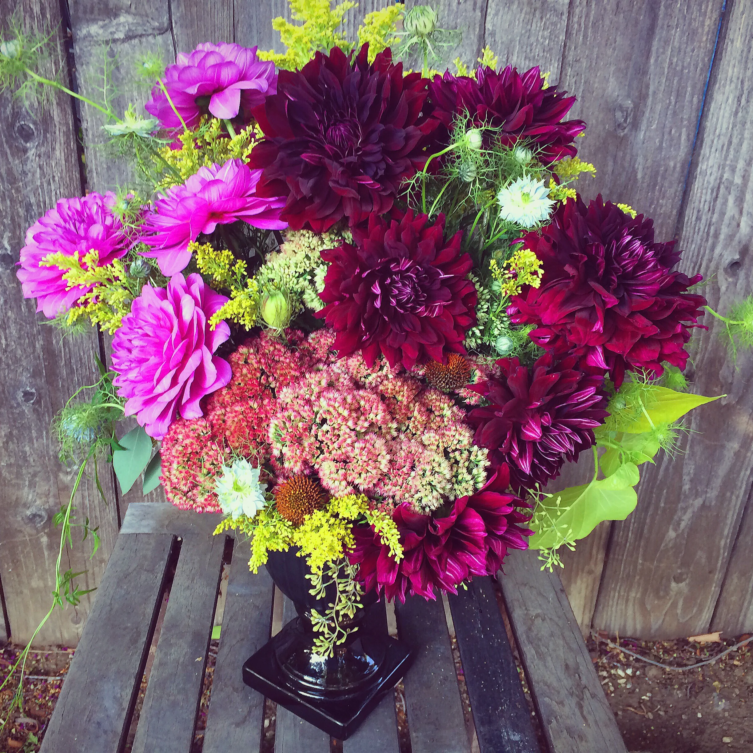 And these dahlias for someone special.