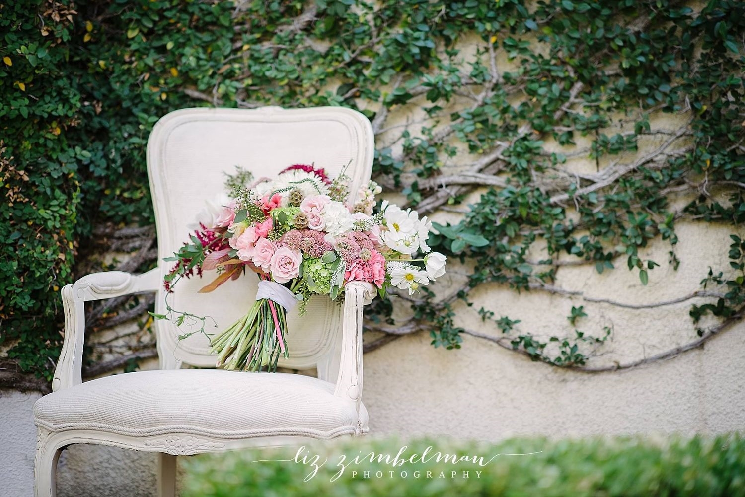 Photo above courtesy of Liz Zimbleman Photography