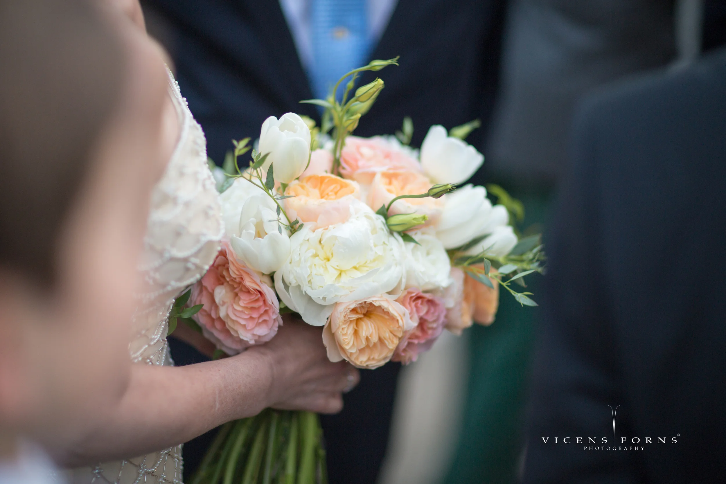 Photo above Courtesy of Vicen Forns Photography