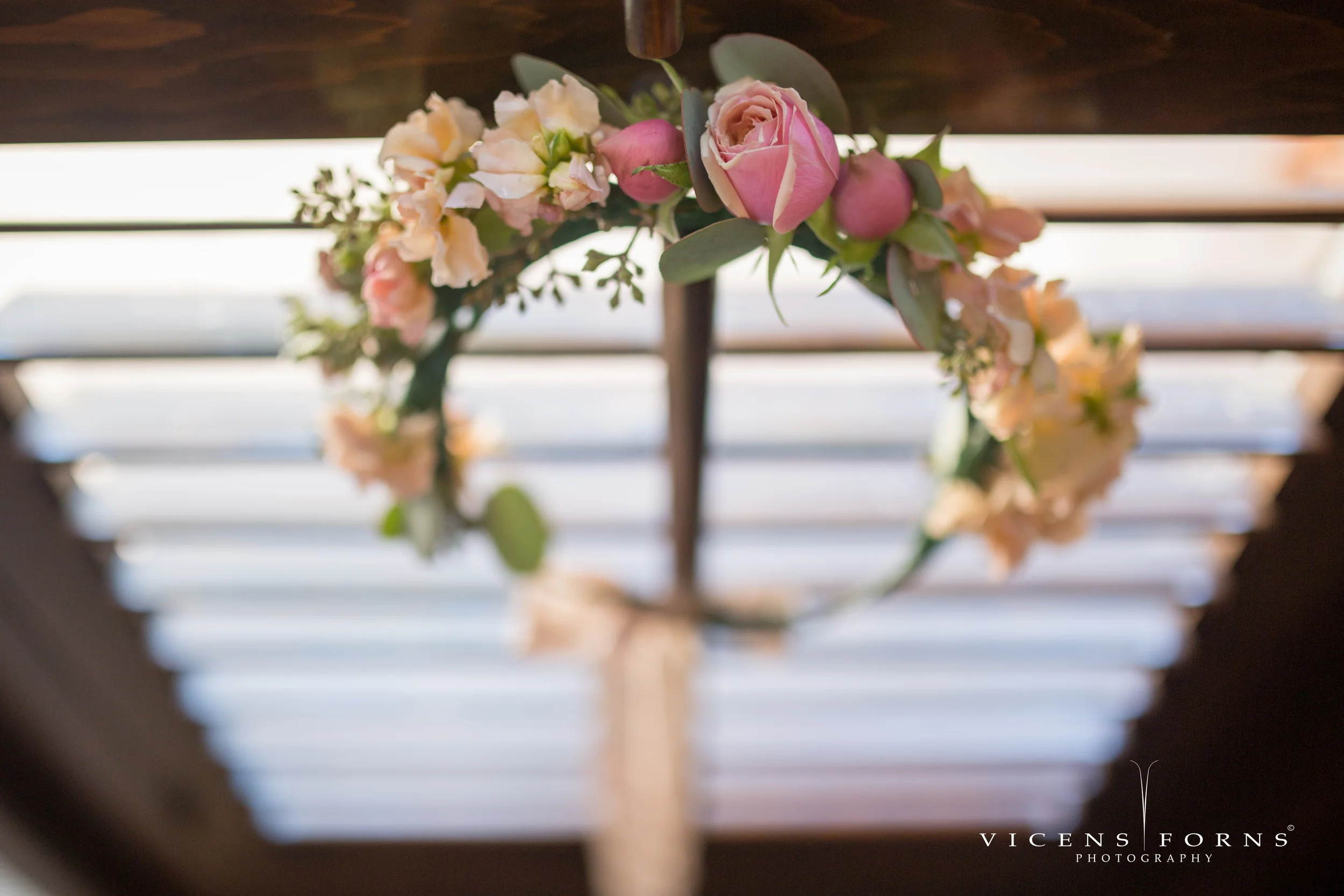 Photo above courtesy of Vicen Forns Photography