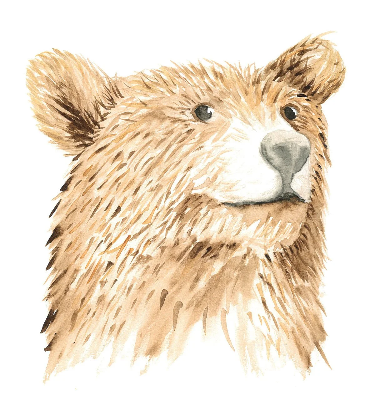 Watercolor Illustration