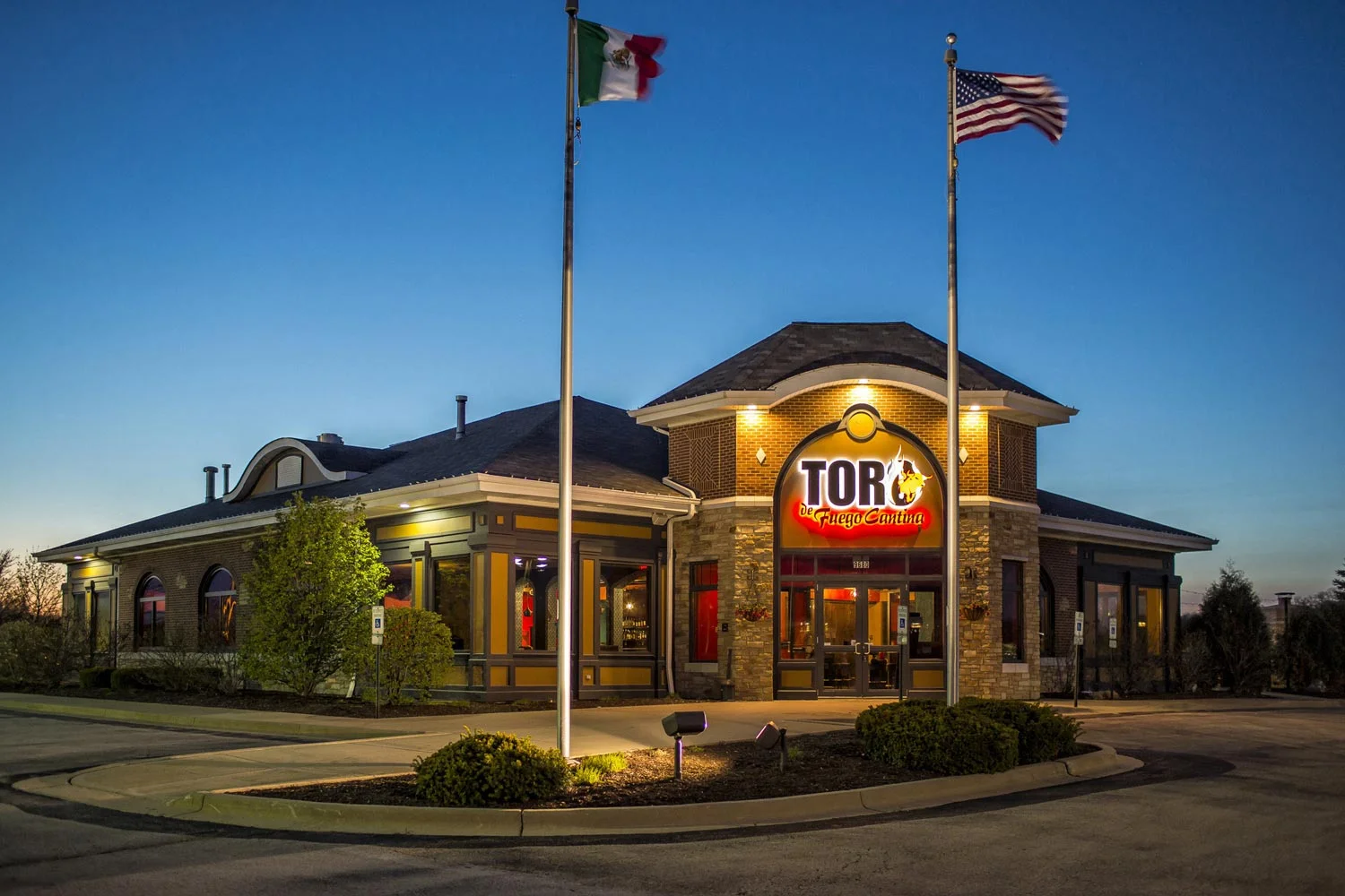 Toro-2.jpg