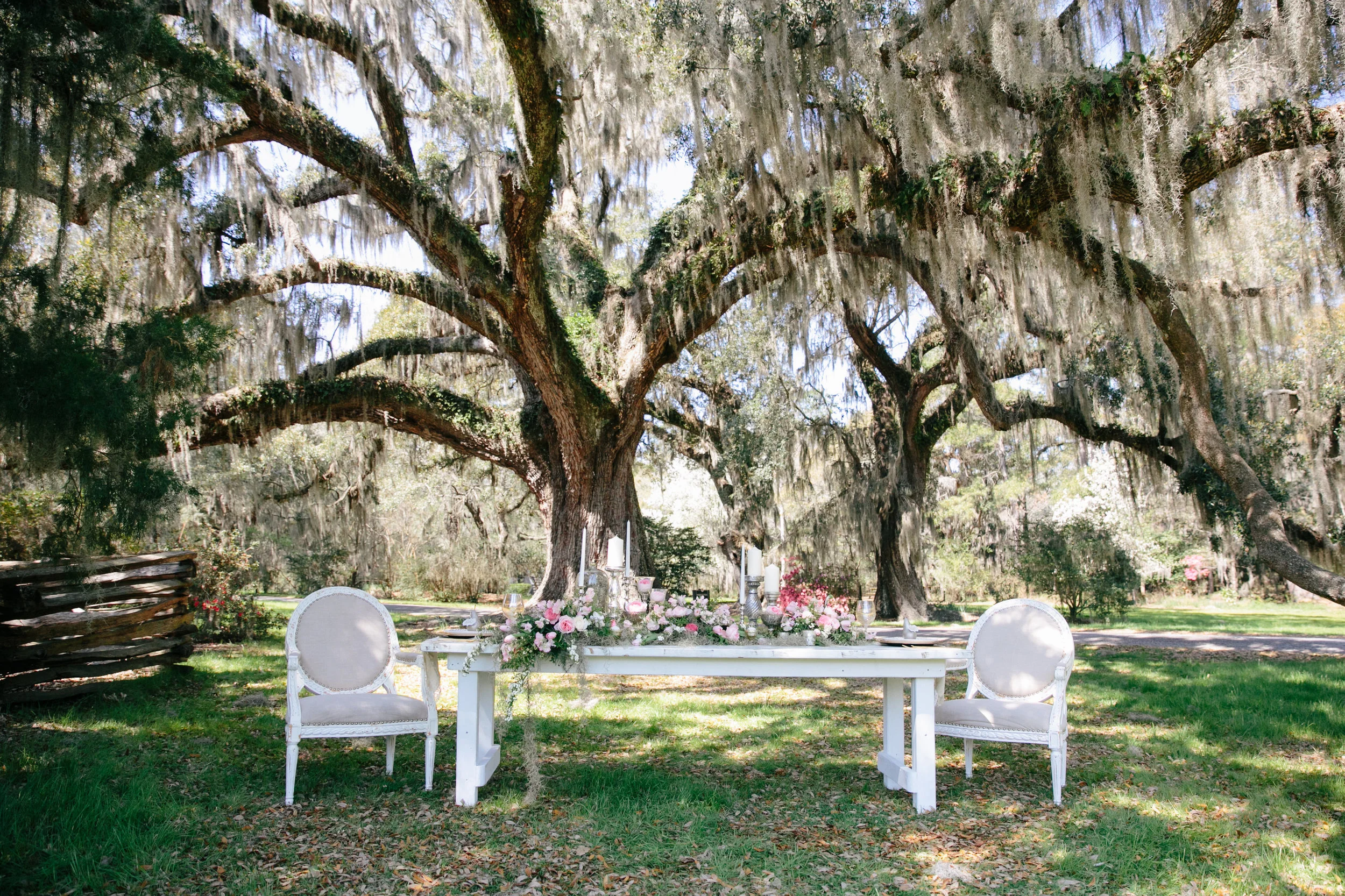Ballet Inspired Micro-Wedding at Magnolia Plantation & Gardens by Scarlet Plan & Design | Charleston & Destination Elopement Planners