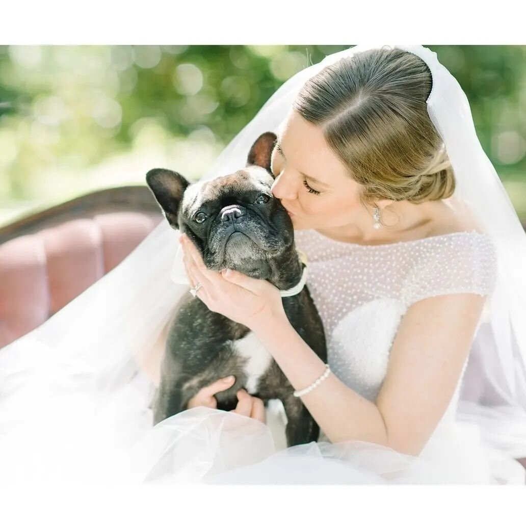 Who could say I Do without their furry bestie?! #scarletweds 
📸 @aaronandjillian 
Planning, design &amp; floral : @scarletplandesign @popupweddingqueens 
Venue: @legare_waring_house 
Vintage rentals: @thefrencheclectic
HMUA: @paperdollshair
.
.
.
.
