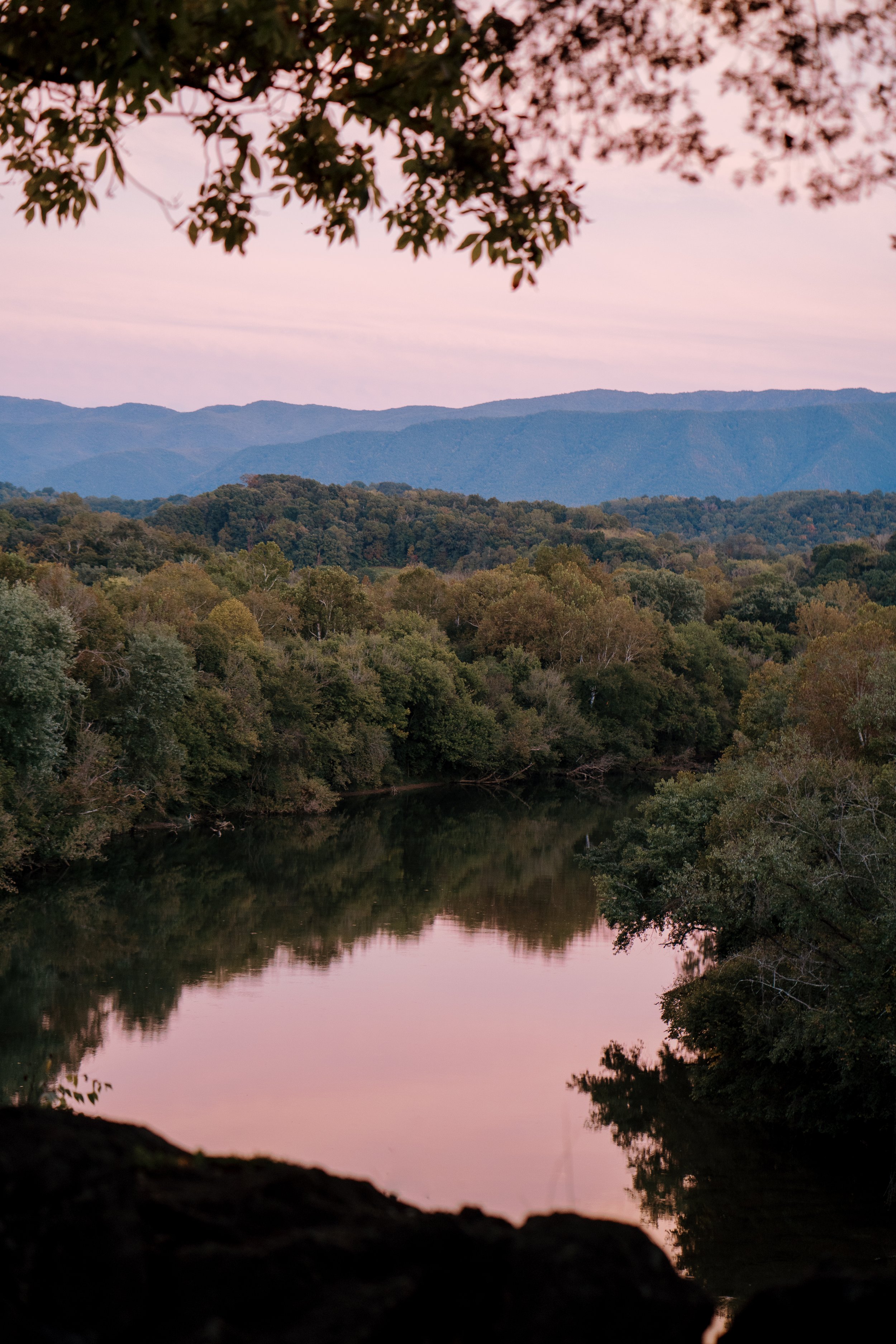 Destination Elopement Nolichuckey Bluffs Glass Wedding Chapel Blue Ridge Mountains, Greeneville TN Scarlet Plan Design, luxury micro wedding planners (168).jpg