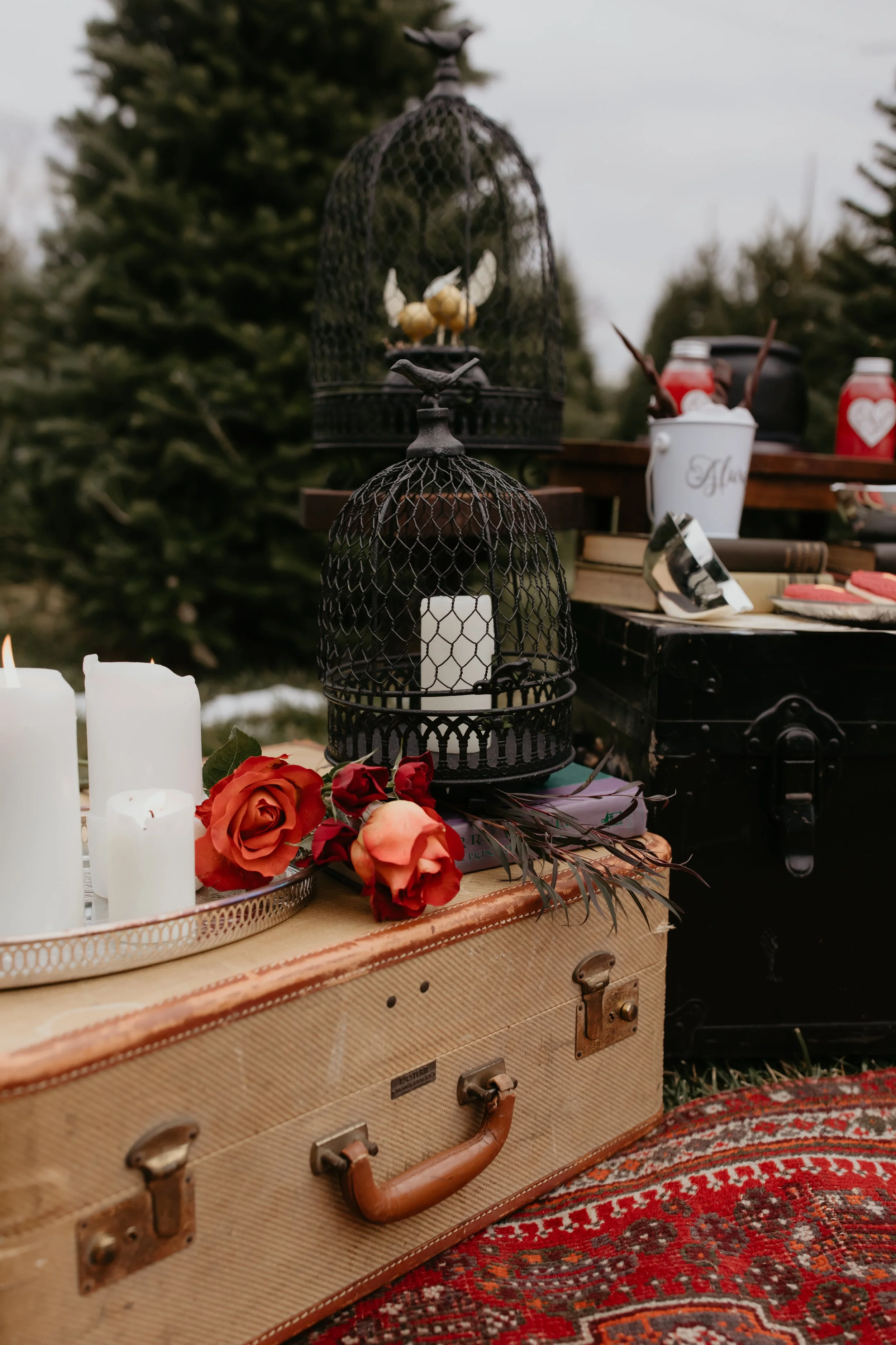 harry potter marriage proposal at advent christmas tree farm - luxury destination marriage proposal planners scarlet plan & design (13).jpg