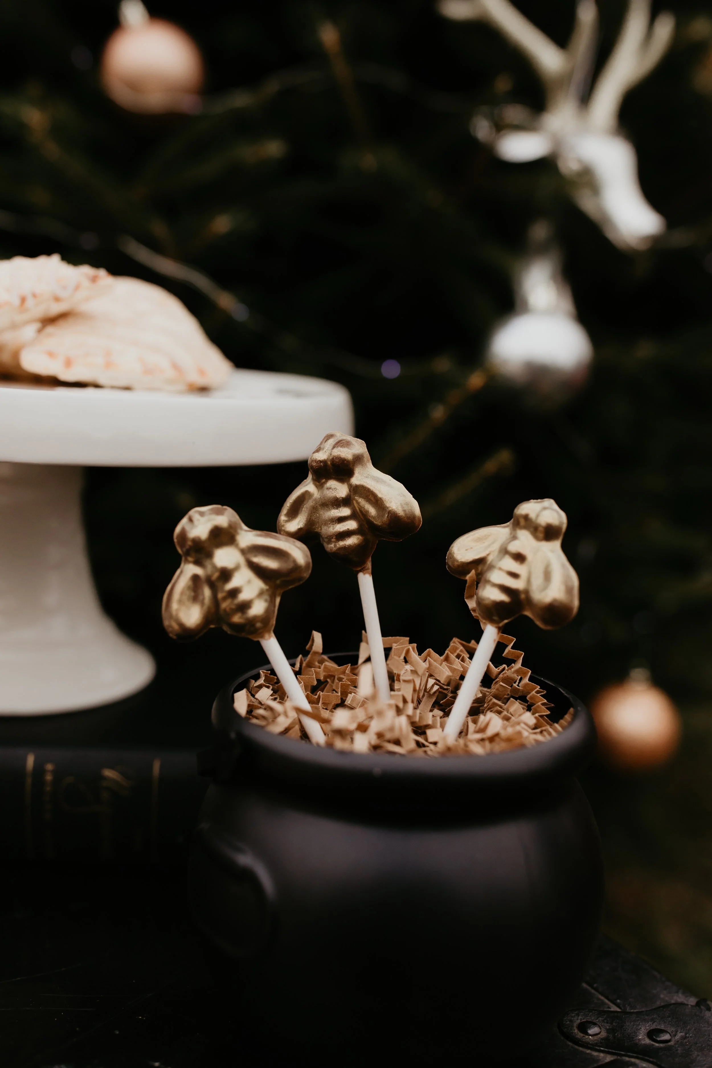 harry potter marriage proposal at advent christmas tree farm ohio - luxury destination proposal planners scarlet plan & design (9).jpg