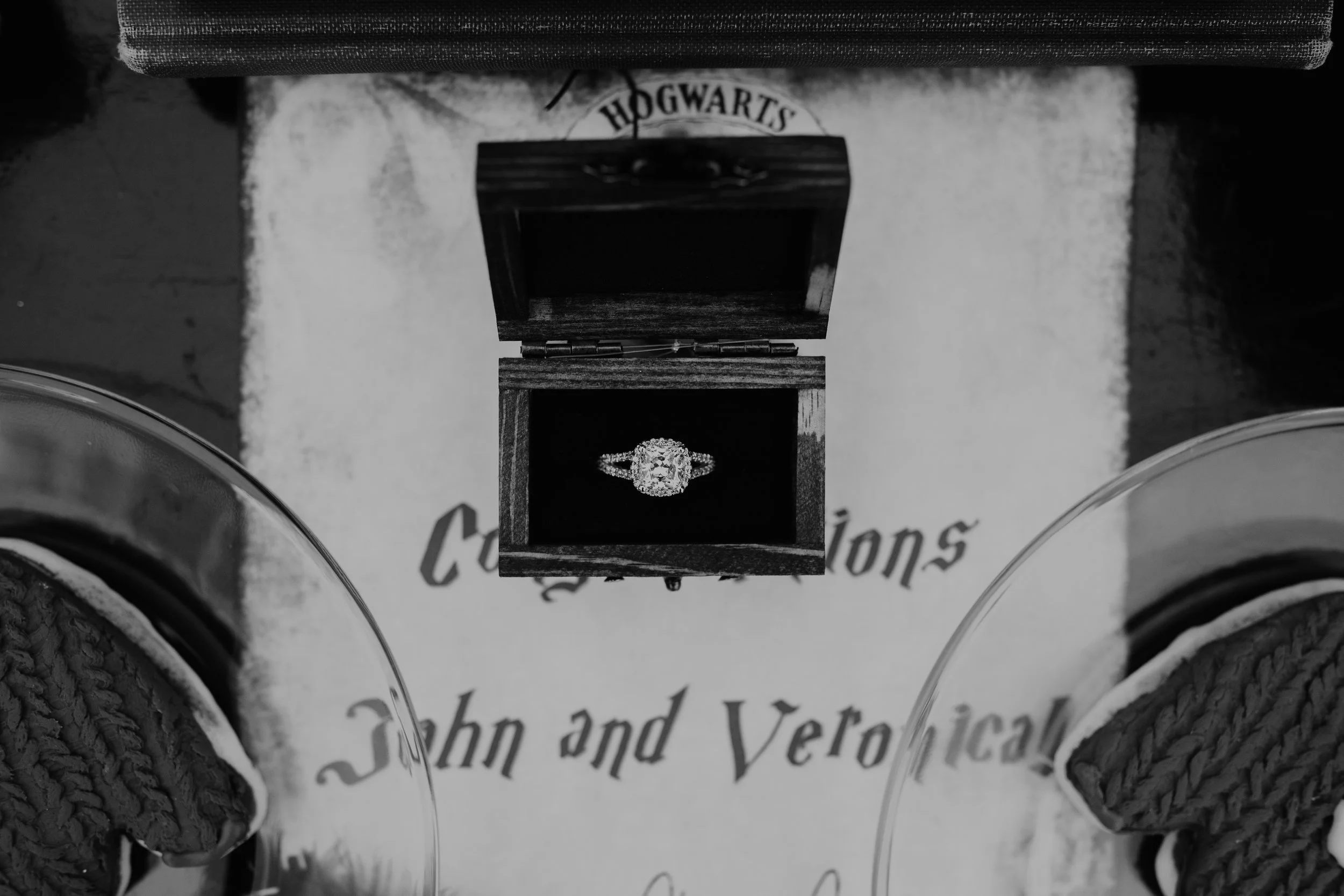 harry potter marriage proposal at advent christmas tree farm ohio - luxury destination proposal planners scarlet plan & design (32).jpg