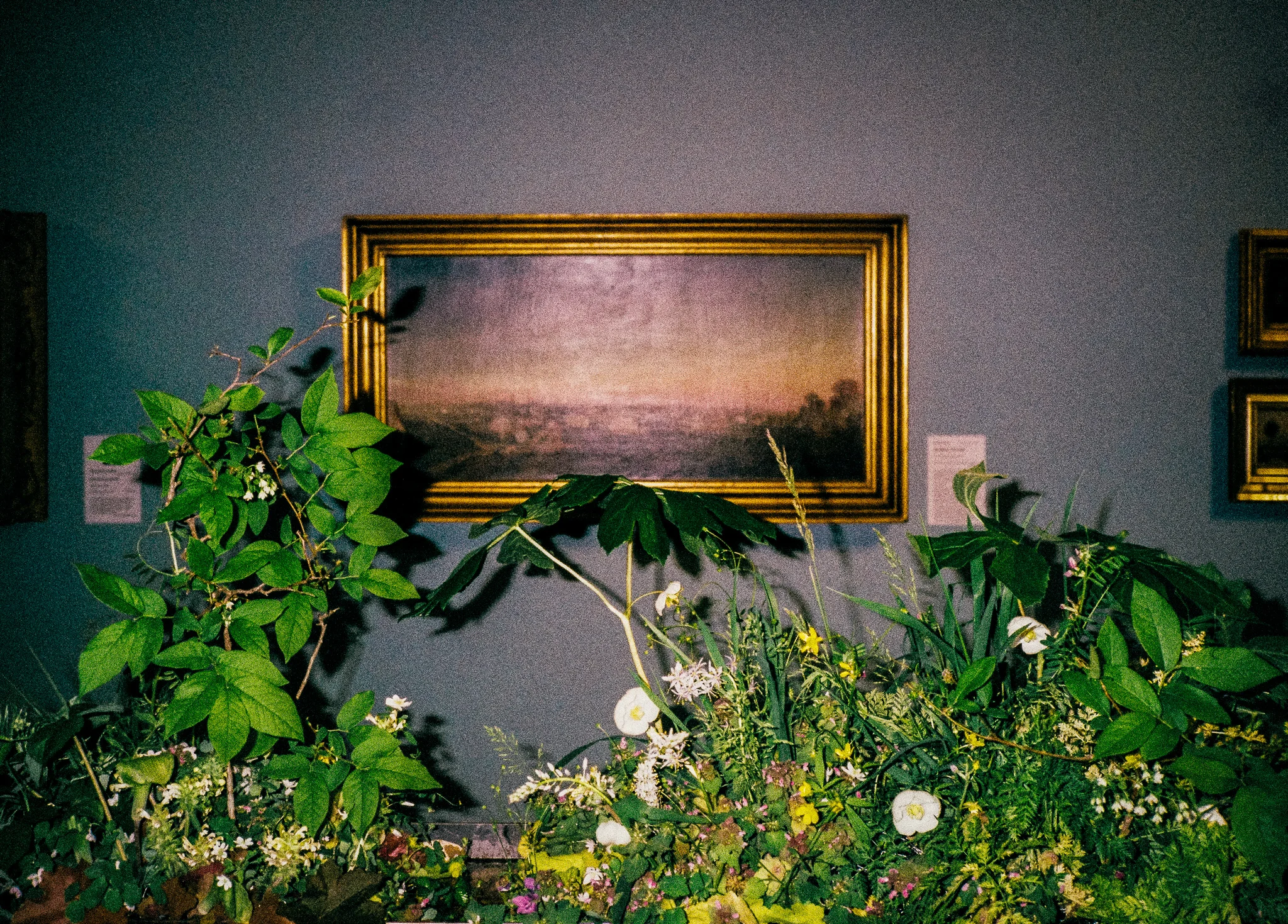 05.27.19 Springfield Art Museum, Springfield, Missouri Local and seasonal *weeds.