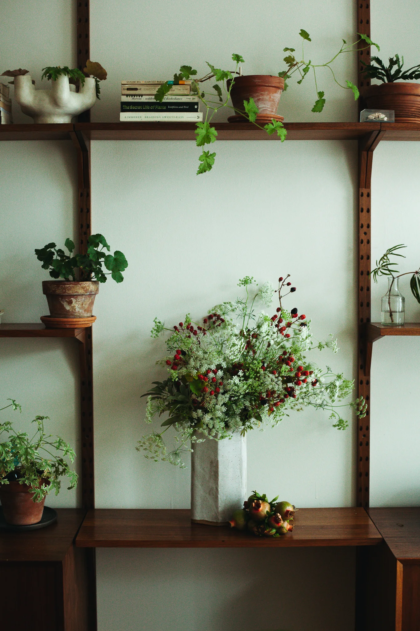 07.12.19 Home, Brooklyn, New York Blackberry, Wild Carrot, White Sage from my balcony and a bundle of pomegranates.