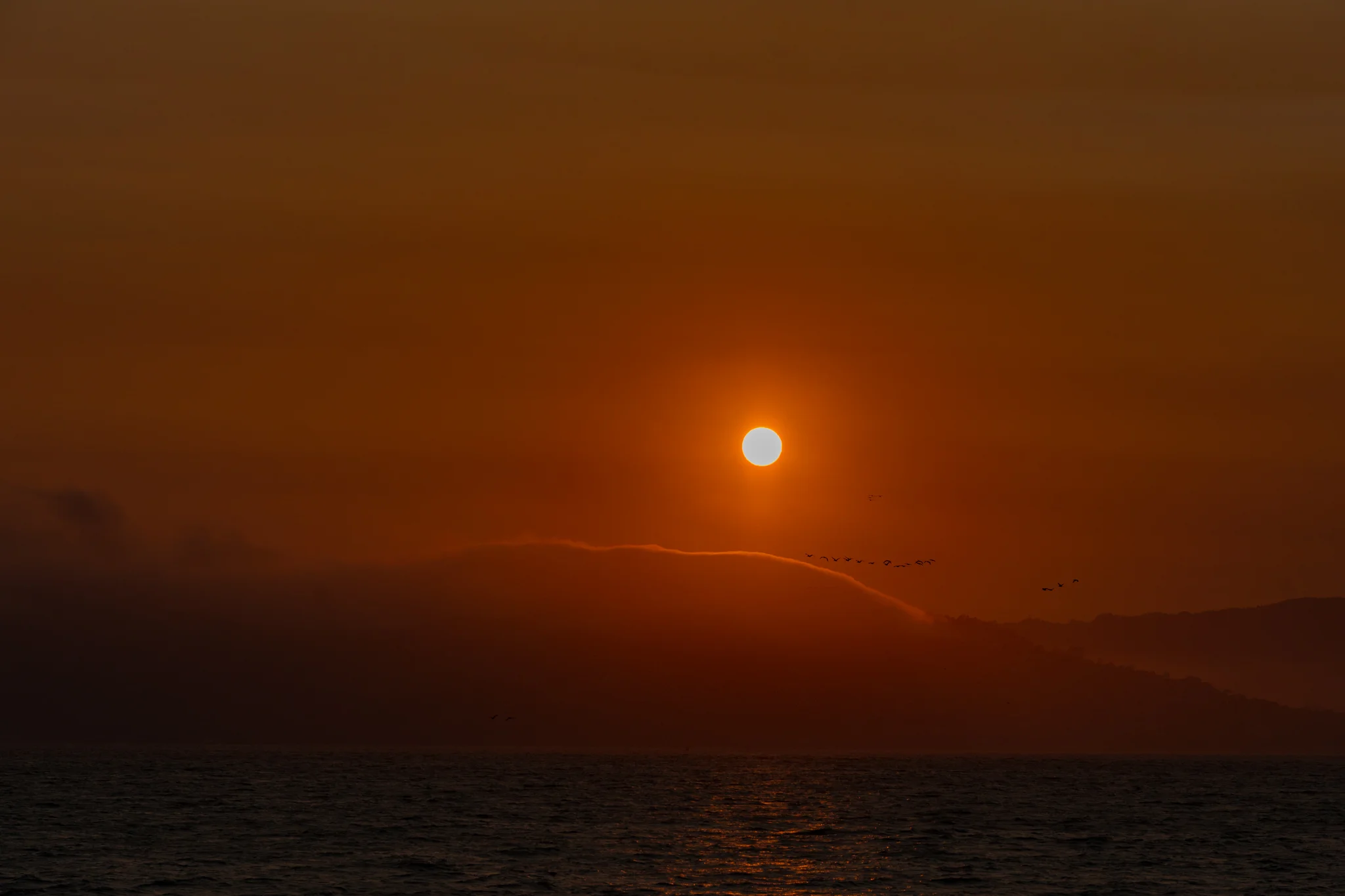 DSC00015.jpg