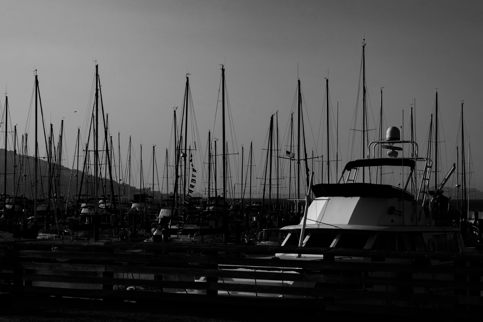 DSC09864.jpg