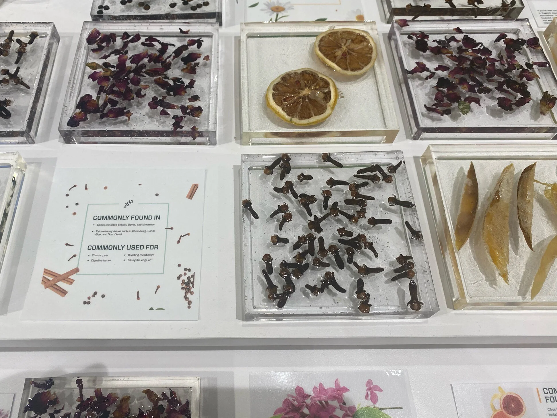 Featured Project Liberty Cannabis Dispensary in Madison Heights