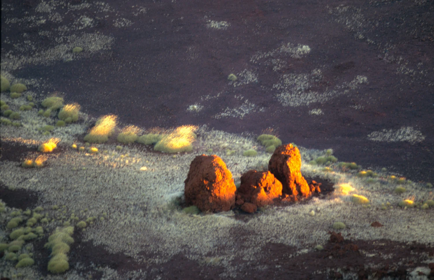 JPScan-090227-0019.jpg