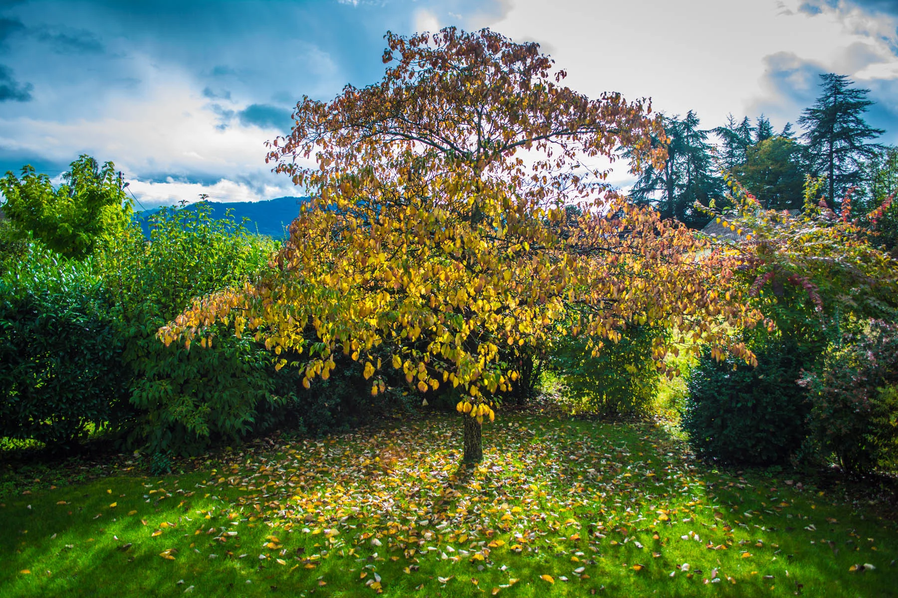 20131103-_DSC3554.jpg