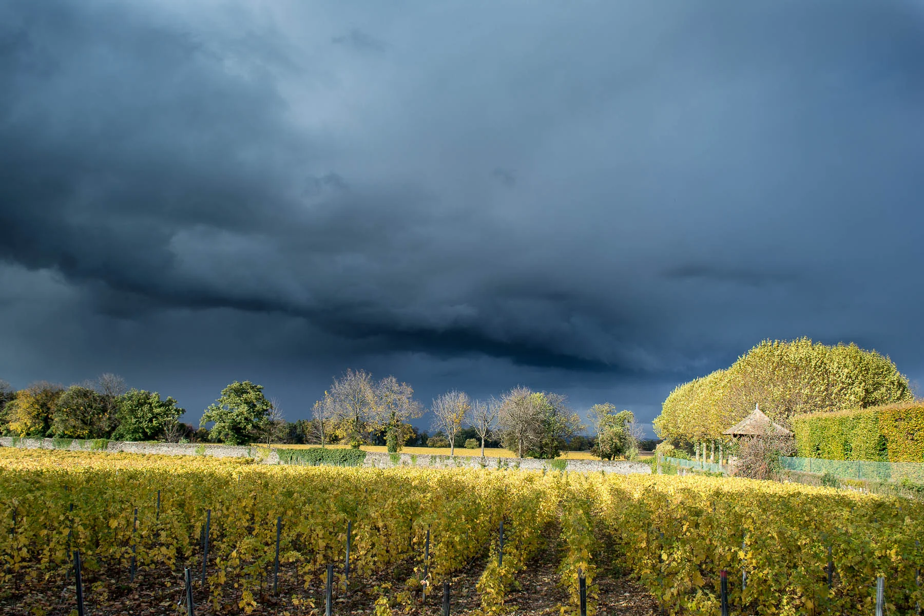 20131103-_DSC3620.jpg