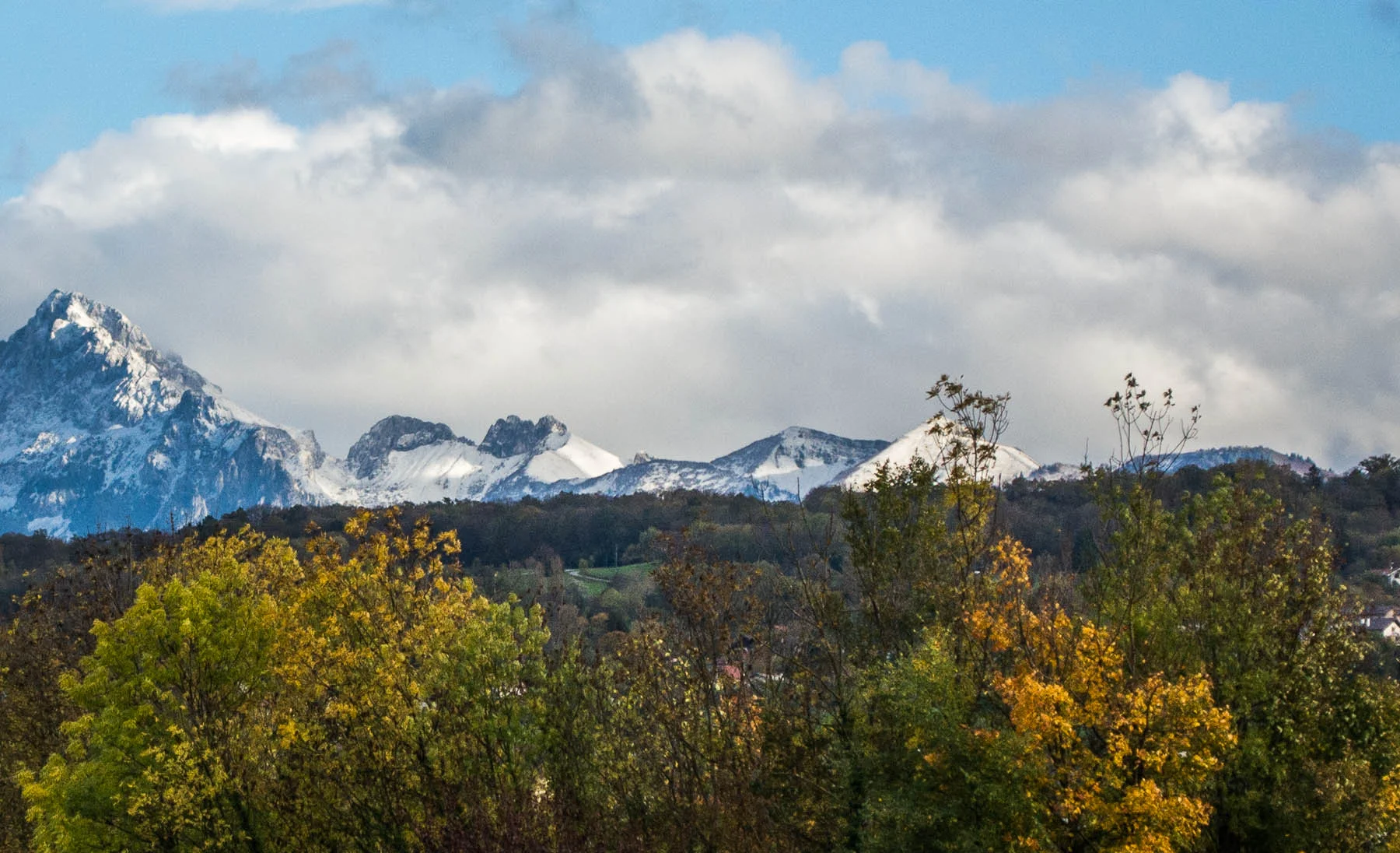 20131103-_DSC3628-2.jpg