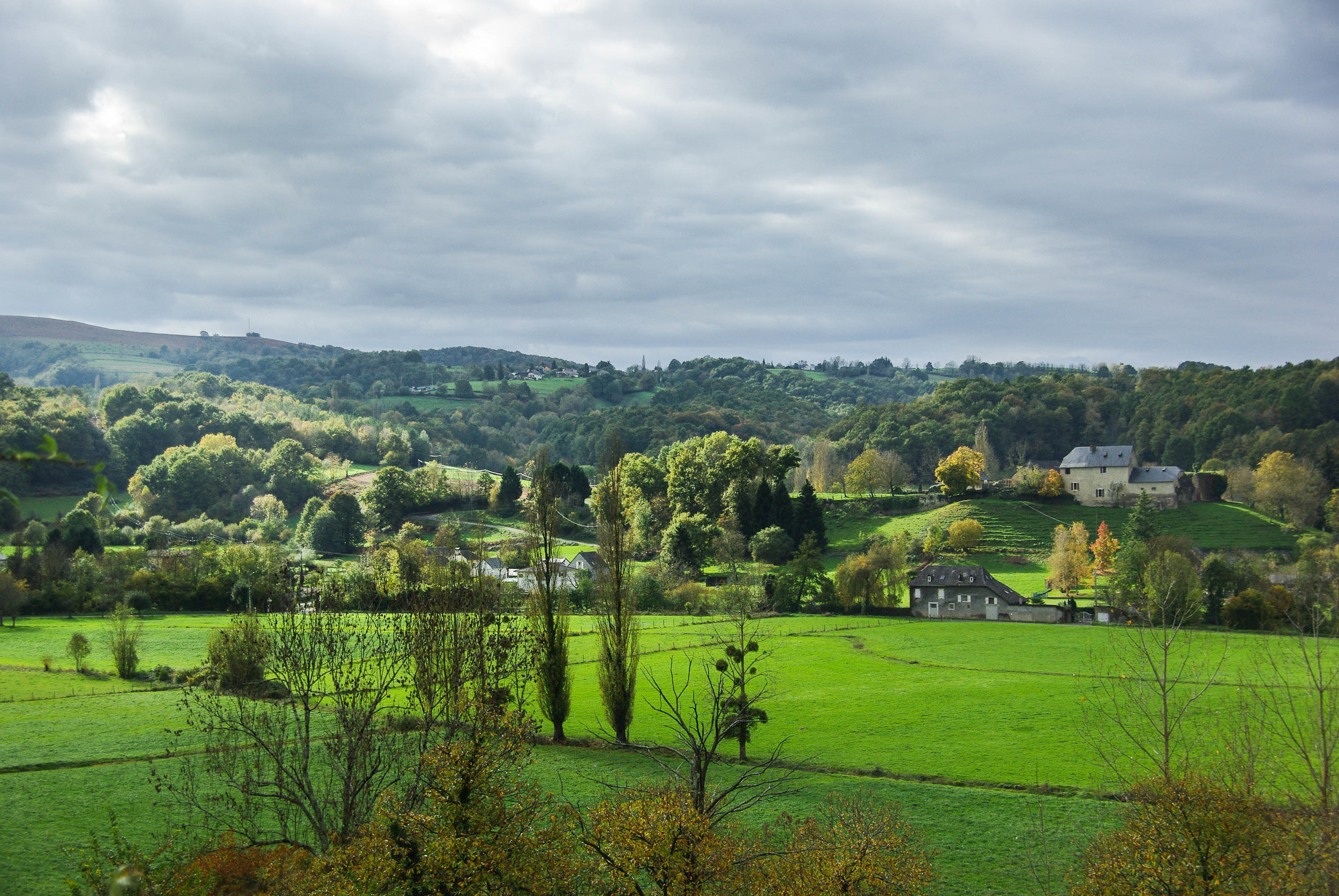 IMGP1267-1.jpg