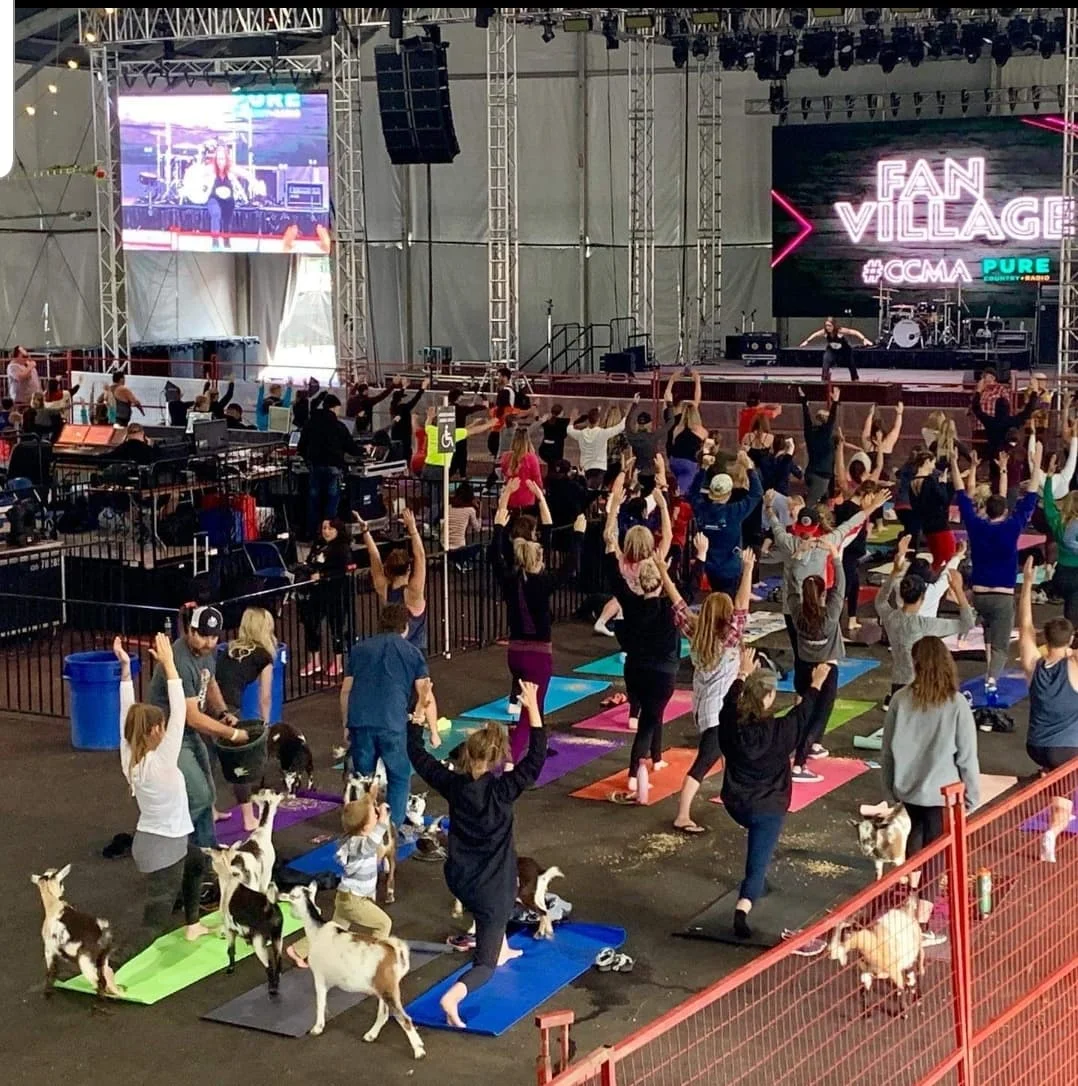 goat yoga @ccmas.jpg