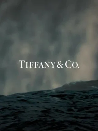 TiffanyCo_header-001-1.jpg
