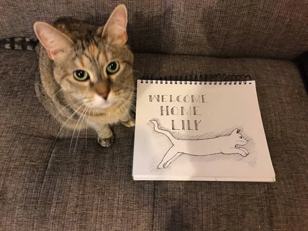 Welcome Home TigerLily ❤