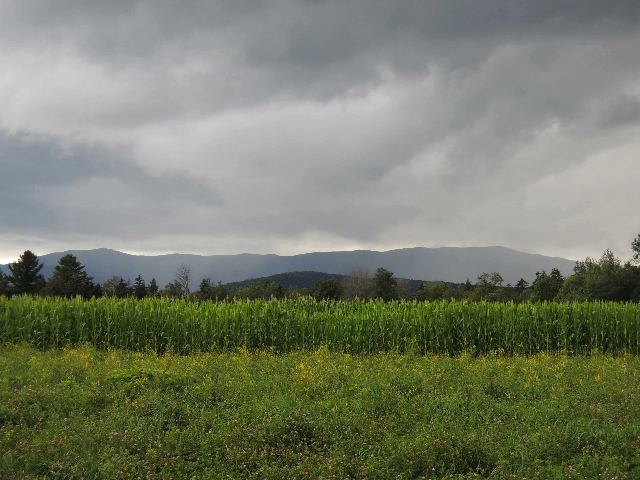 DSCN0451.JPG