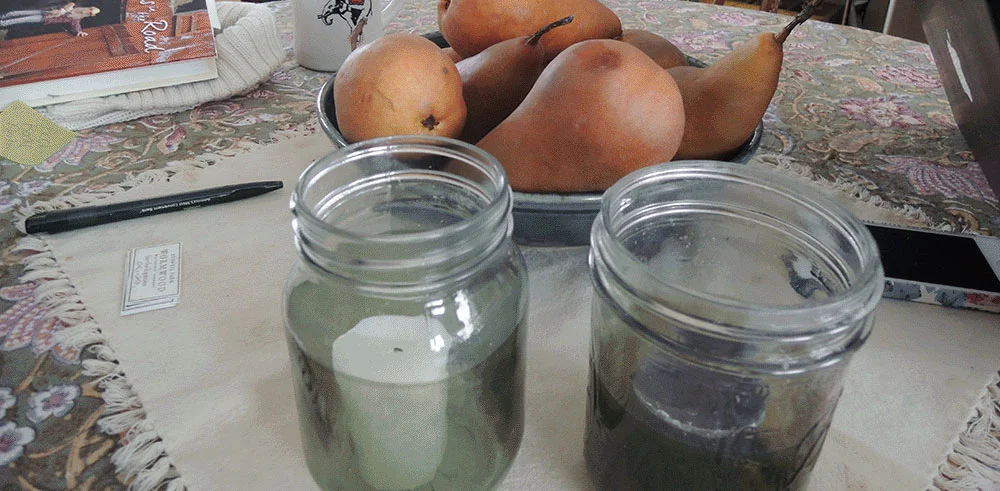 Same lovely jars in today's morning light. 