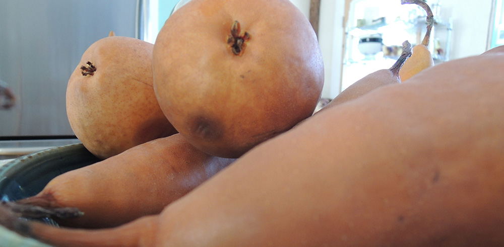 Pears.jpg