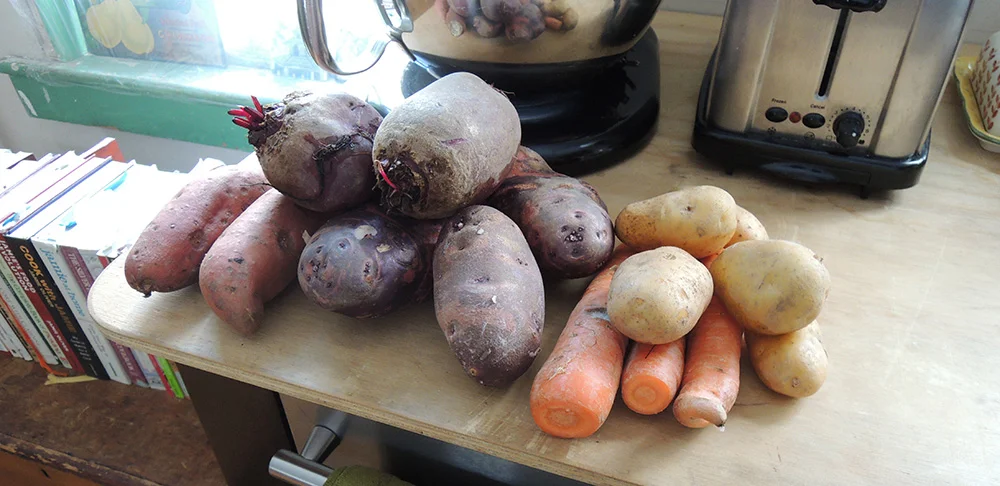 RootCellearB.jpg