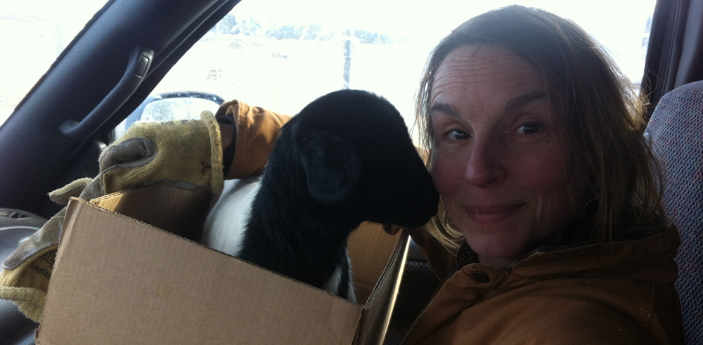 Jane lapped it with Seth and me in the cab. She made a lot of noise, but's so warm and soft and cute—you really can't complain