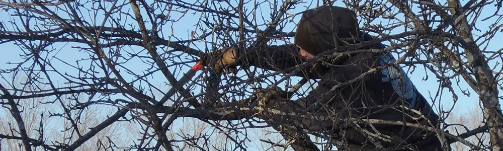 WinterPruning.jpg