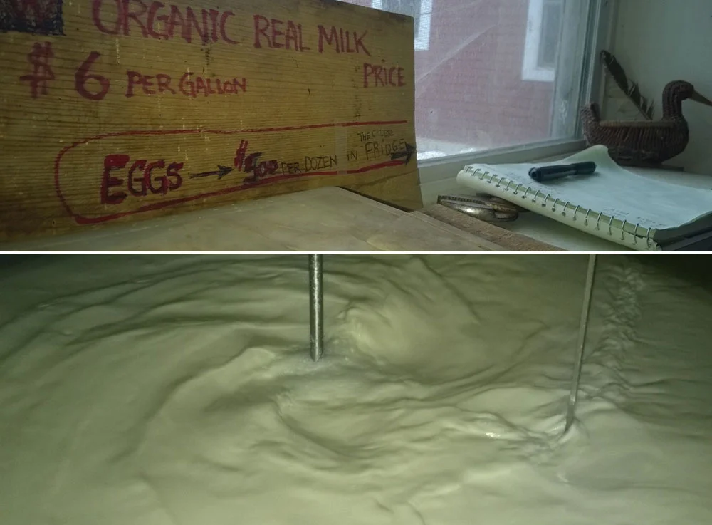 Milk.jpg