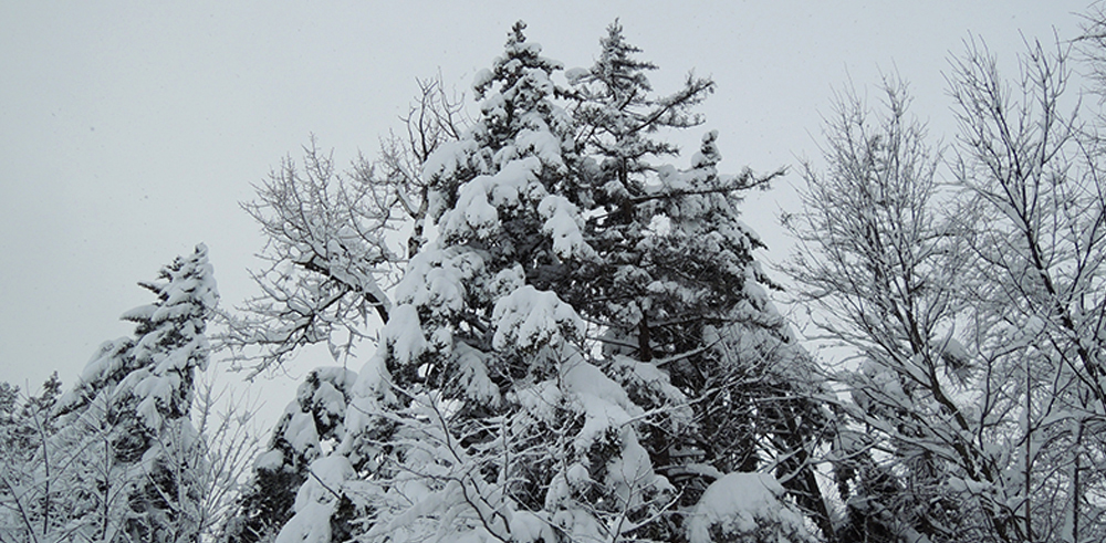 BigSnow.jpg