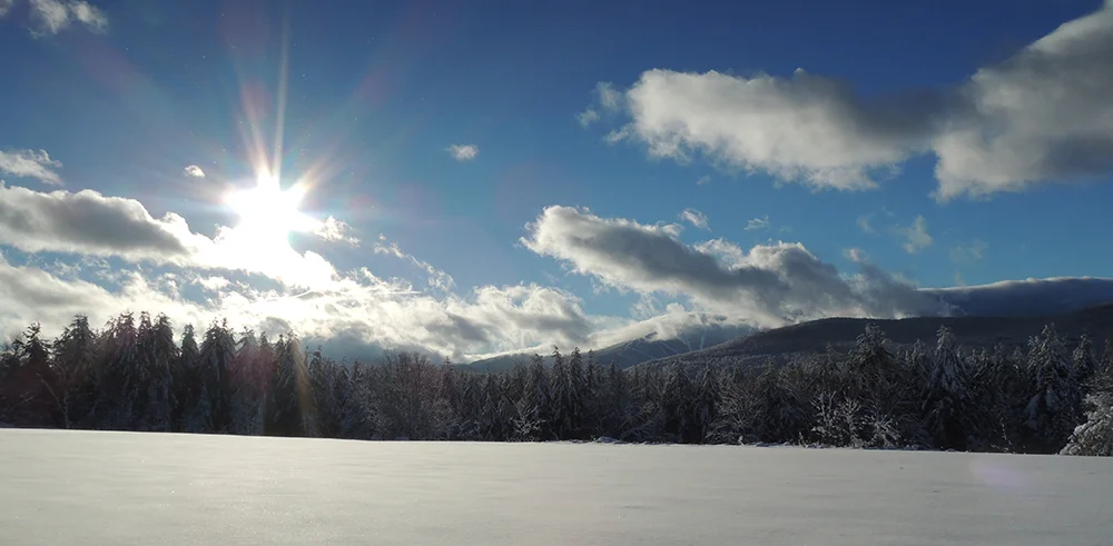 AfterBigSnow.jpg