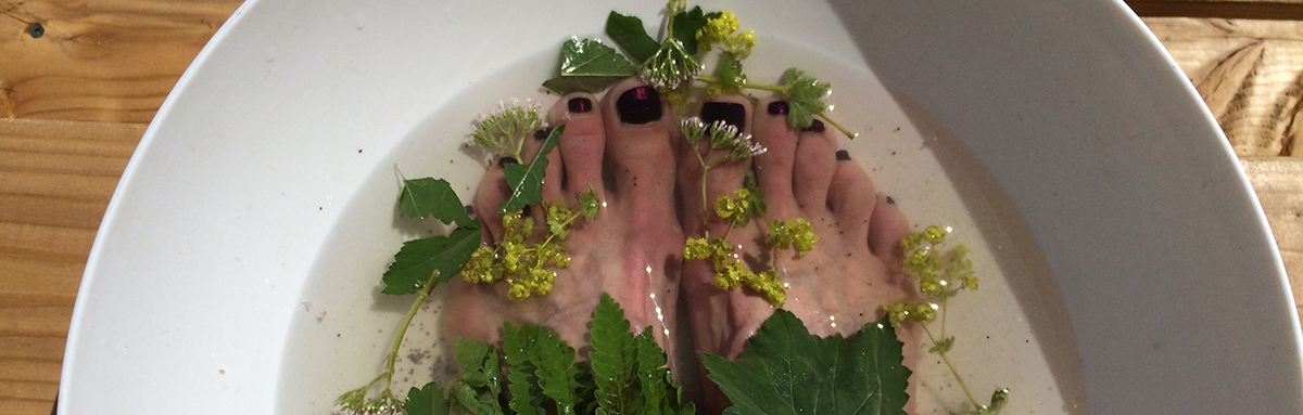 Lady's Mantle, Valerian, Marshmallow and Fern...in a bath of salts and poppy seed.