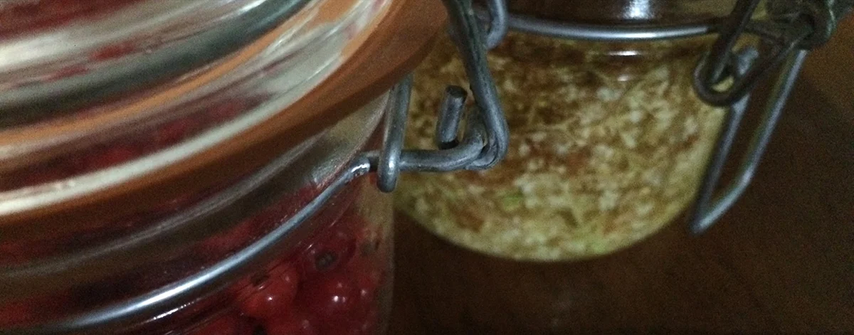 Today's red currant and elderflower harvest.