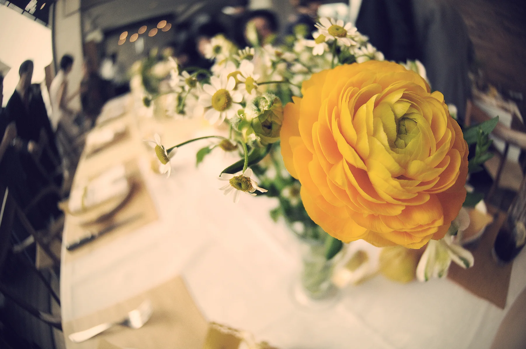 Fiona+Gary_20101113_0887_e.jpg