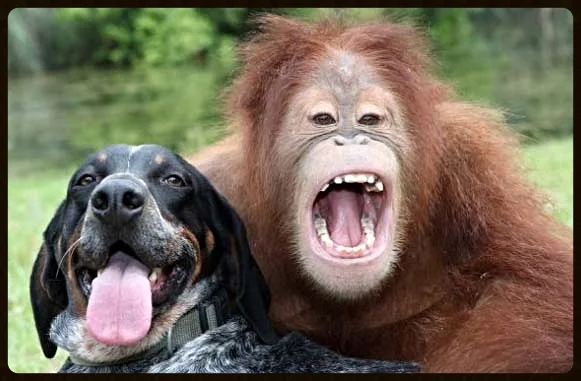 Suryia & Roscoe