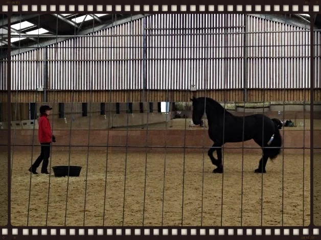 Janine with her lovely mare