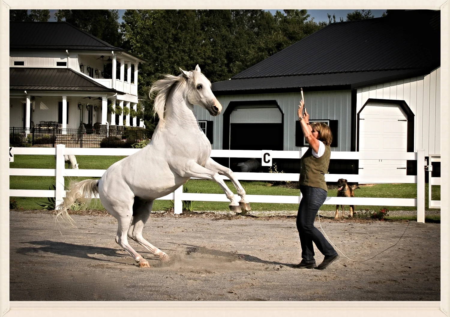 Once you have the connection, your horse will preform from the bond he shares with you vs. your training. 