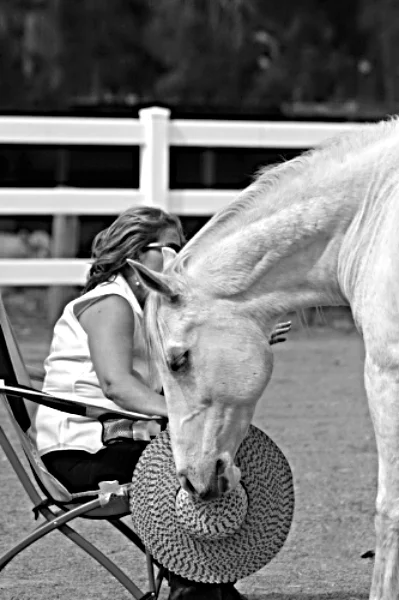 A tender moment with Shadow while teaching during a clinic
