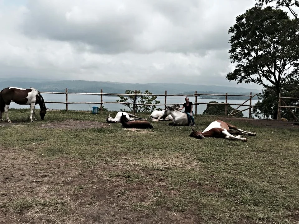Nancy Zintsmatster with her horses in Costa Rica after a 5 day WHR clinic