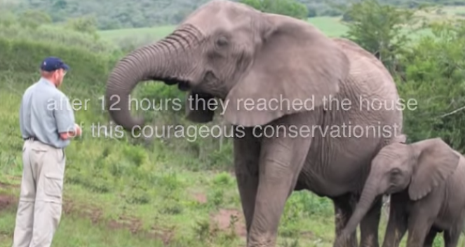 One of My Favorite Vidoes