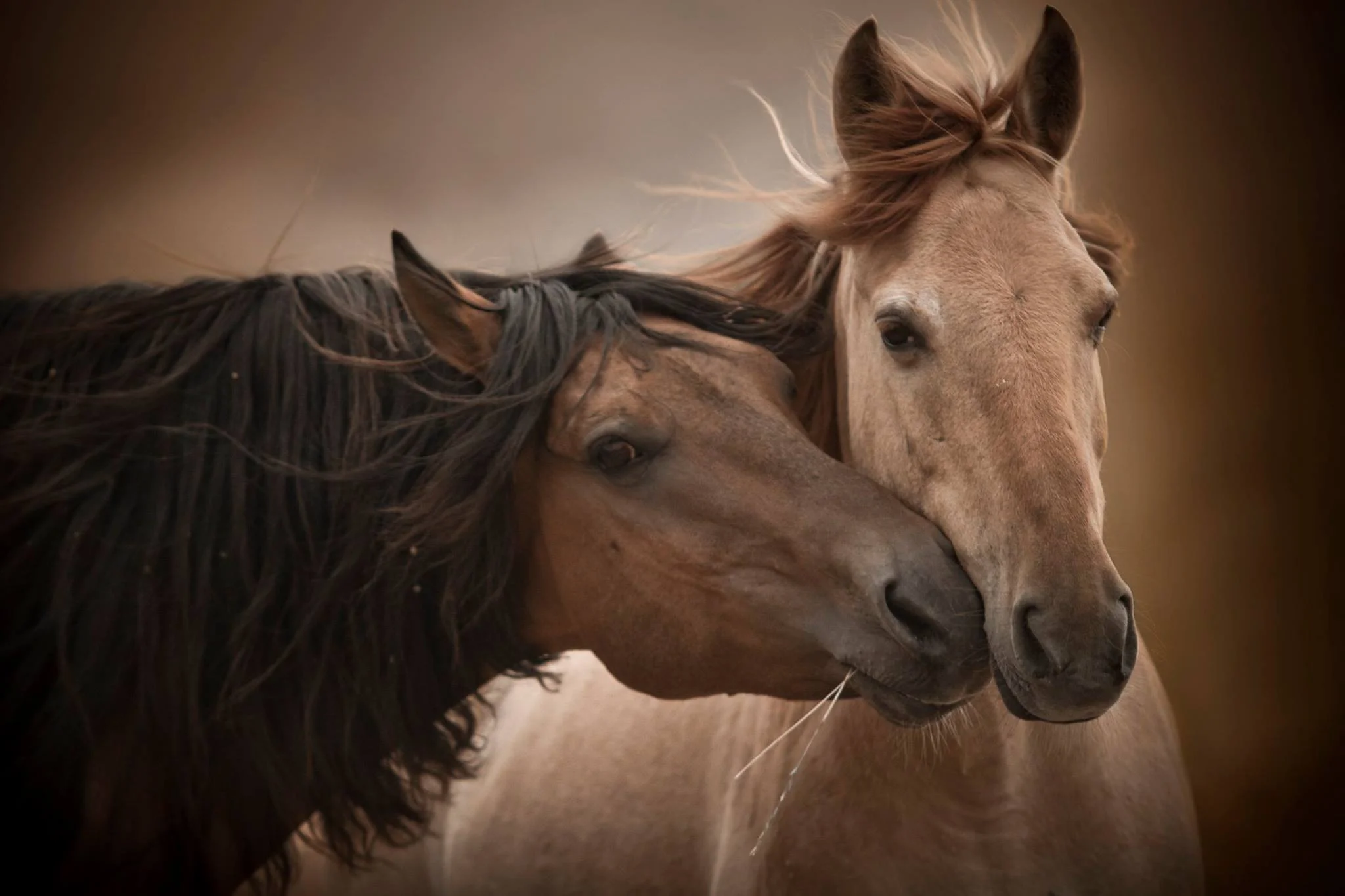 Kimerlee Curly Photography