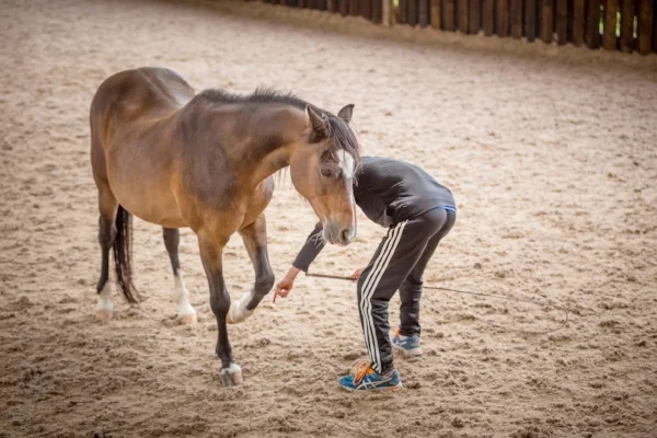 Clinic in England with Sonny & Stan